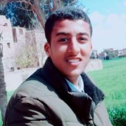 Mohammed Gamal Hussein Tohamy - avatar