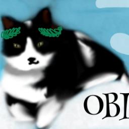 obm1 - avatar