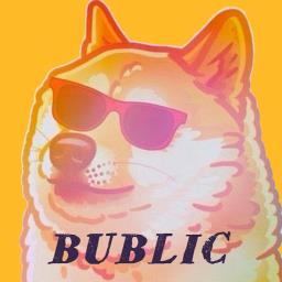 BUBLIC - avatar