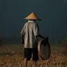 Febri Ardiansyah - avatar