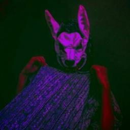 Nocturnal Knight - avatar