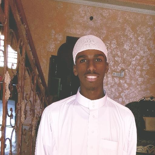 Mohamed Abdalseed Eid Ismail - avatar