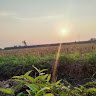 M. FAIS SANDY ARDIANSYAH - avatar