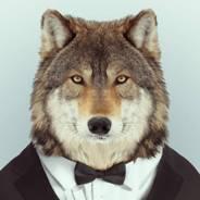 Black Wolf - avatar