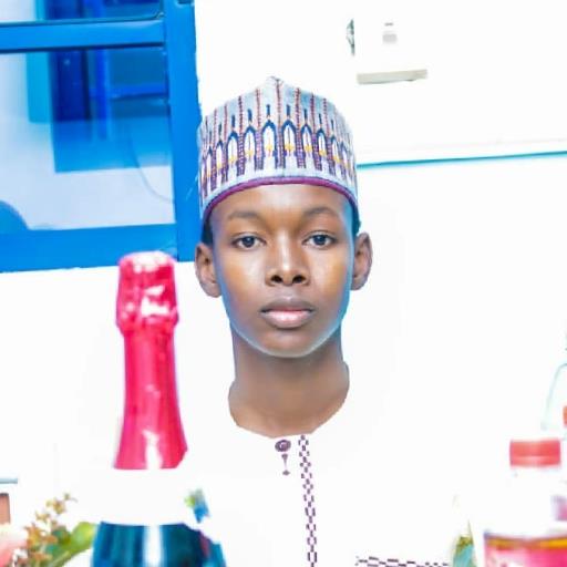 Abubakar Sadiq Iliyasu - avatar