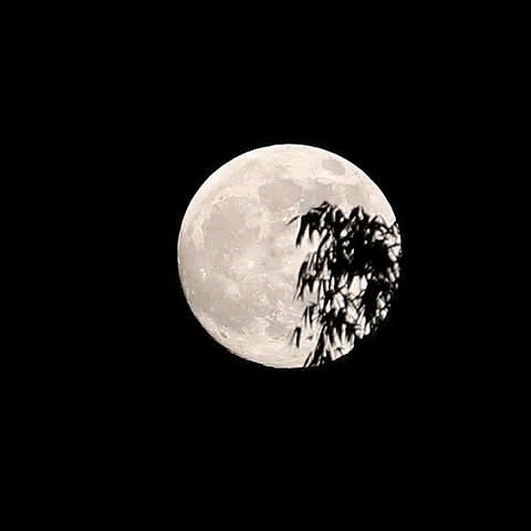 Muhammad Lawal - avatar