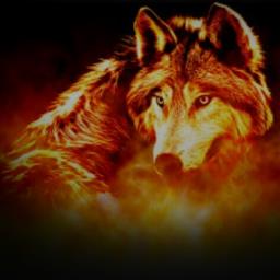 WolfieElite - avatar