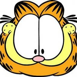 Garfield - avatar
