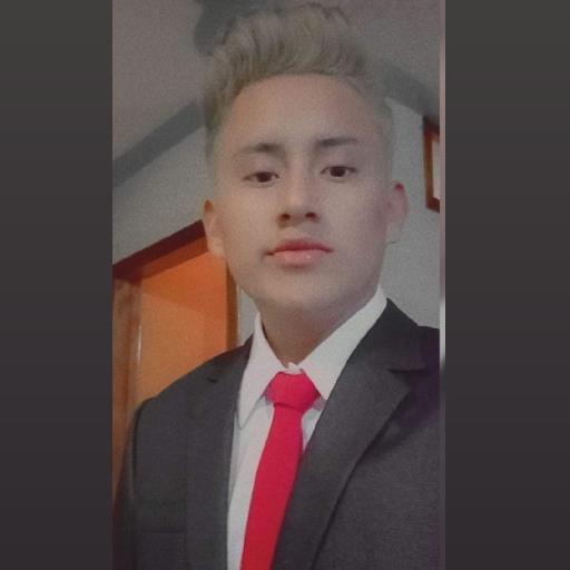 Brandon Javier Morocho Puculpala - avatar