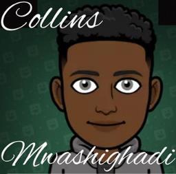 Collins Mwashighadi - avatar