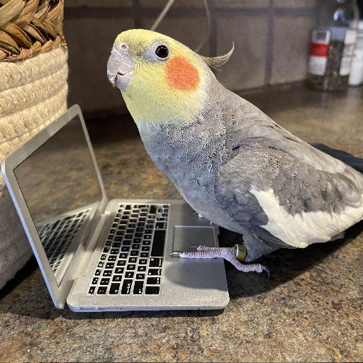 ☕︎︎AstroParrot✦ - avatar