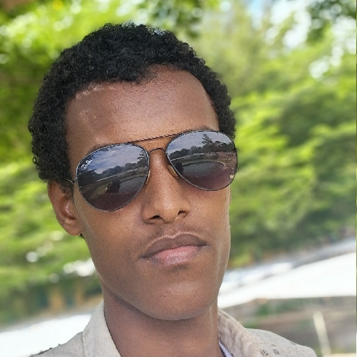 Ahmed Hussen - avatar
