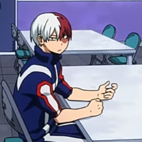 Shoto-todoroki69 - avatar