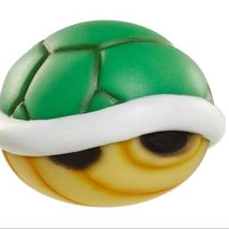 TurtleShell - avatar