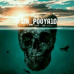 Sir.Pooya1D - avatar