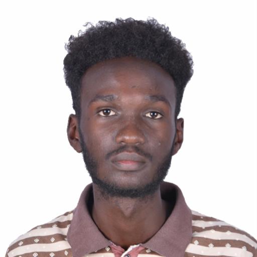 Mohamed Elmustafa Abdalla - avatar