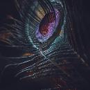 Ash - avatar