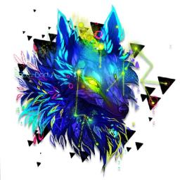 Fox~ - avatar