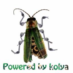 kolya oO - avatar