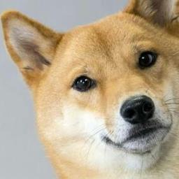 General Doge - avatar