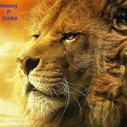 Anurag Simha - avatar