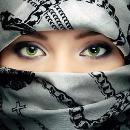 Elham Seid - avatar