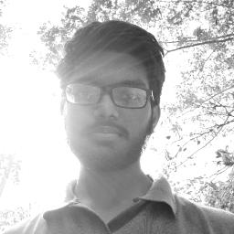 v.s.bhargavram mannepalli - avatar