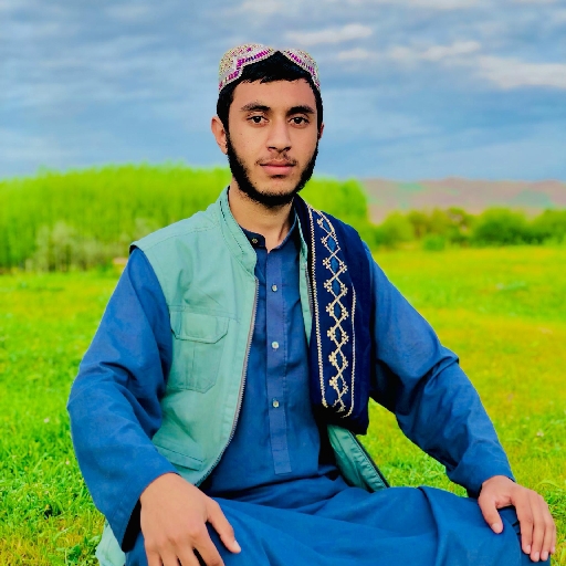 Safiullah Mohammadi - avatar