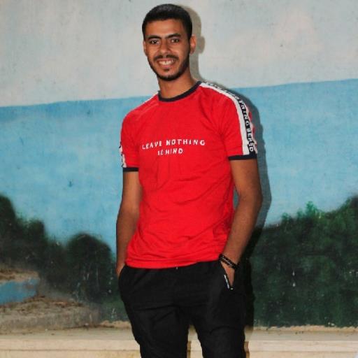 Hossam Mahmoud - avatar