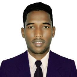 Eng Aidrous Abdikadir Hussein - avatar