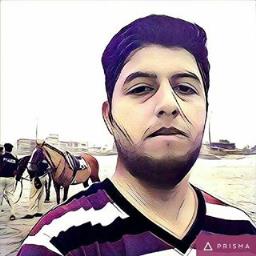 Syed Anees Raza - avatar