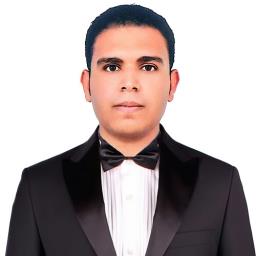 Hashim Hammoud Salim Al-Mansouri - avatar