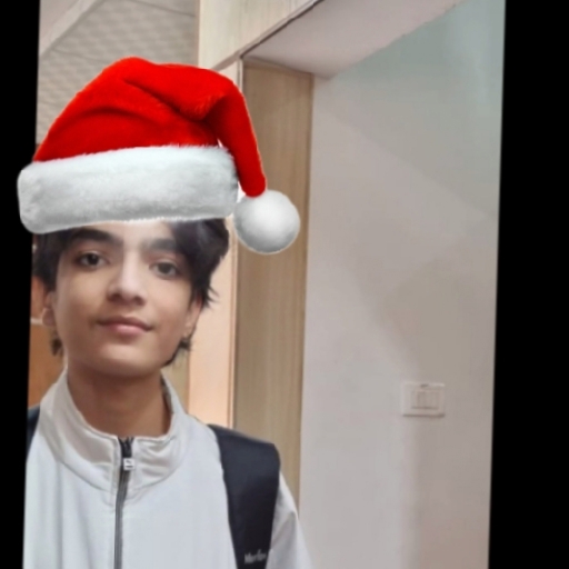 Santa Kaushik - avatar