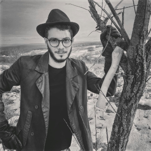 Rakhimov Ernest Alexandrovich - avatar