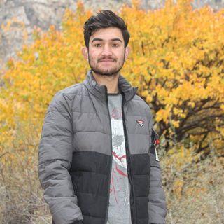 Zamir Abbas - avatar