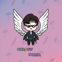 Shadow Ninja[#Inactive] - avatar