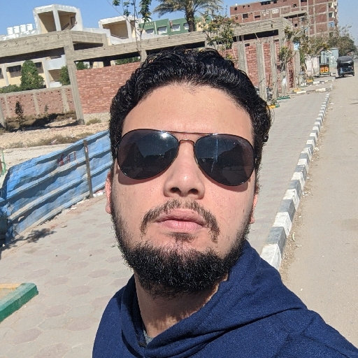 Hassan Wasfy - avatar