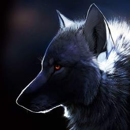 Steppenwolf - avatar