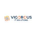Vigorous IT Solutions - avatar