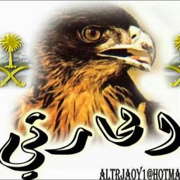 سعيد الحارثي - avatar