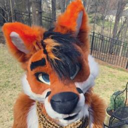 Itan Fox - avatar