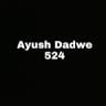 Ayush Sanjay Dadwe - avatar