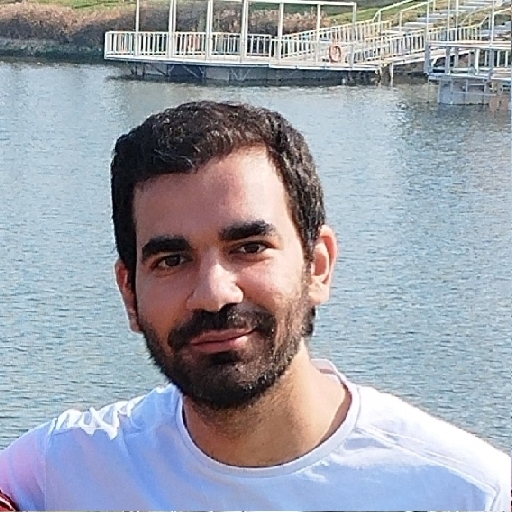 Ameer Abdulaziz - avatar