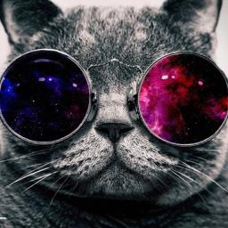 Kobe Koob - avatar