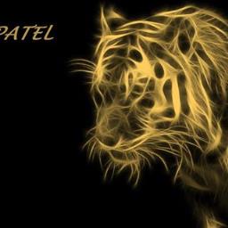 Het Patel - avatar