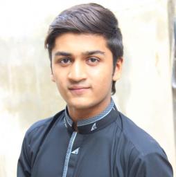 syed hasnain - avatar