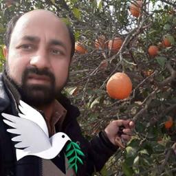 Tahir Amin - avatar