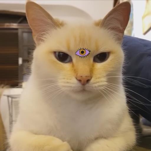 lemoncat - avatar