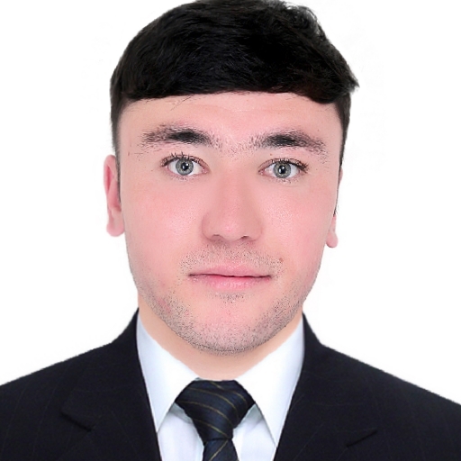 Sayed Mujtaba Hashimi - avatar