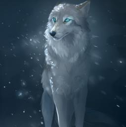 Wolf - avatar